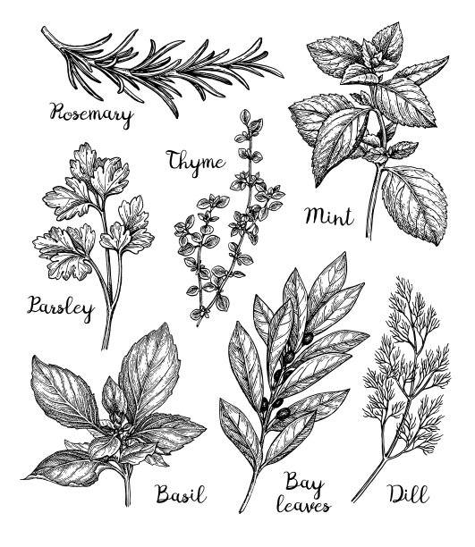 rosemary