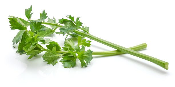 celery