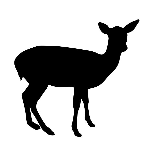 小鹿标志设计