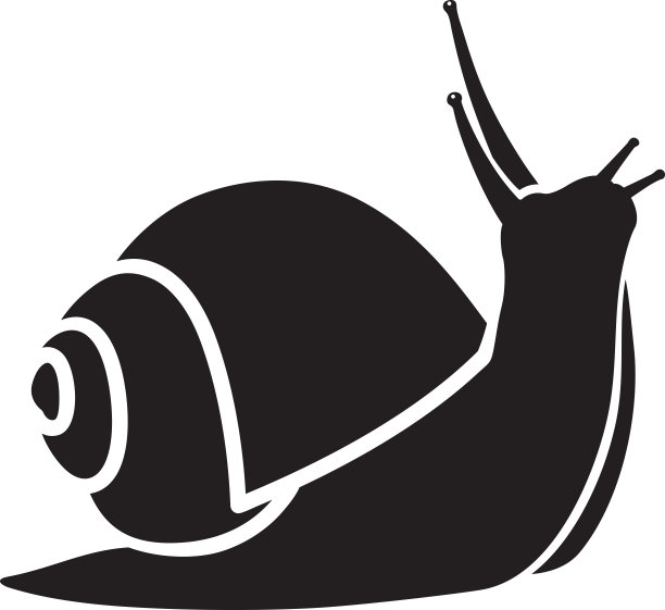 snail