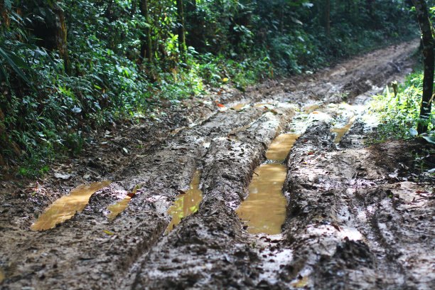 mud