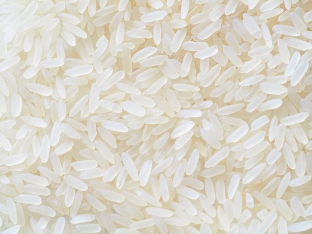 稻米
