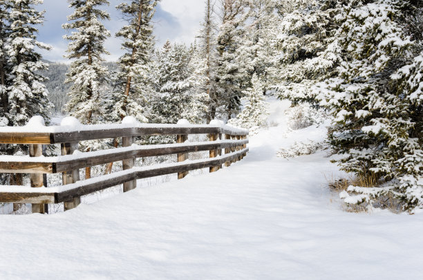 snowfall