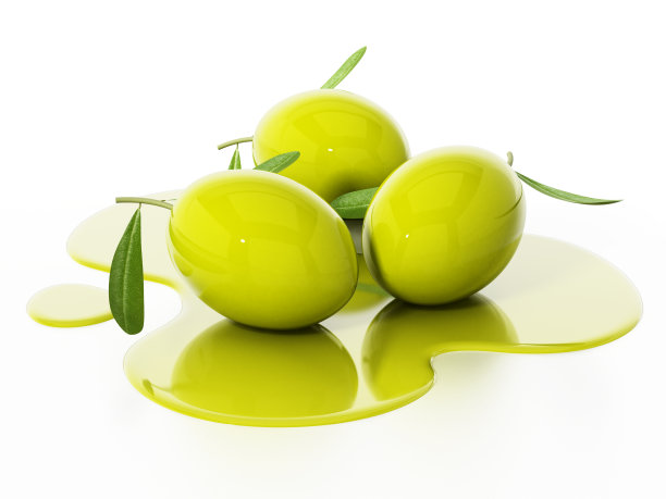 橄榄油橄榄树