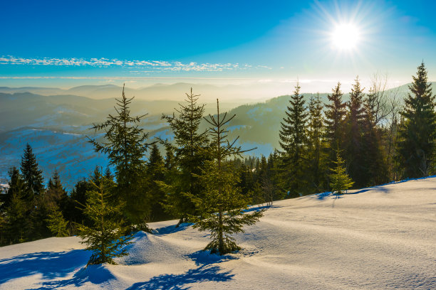 frost