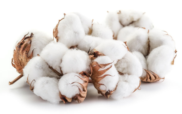 cotton