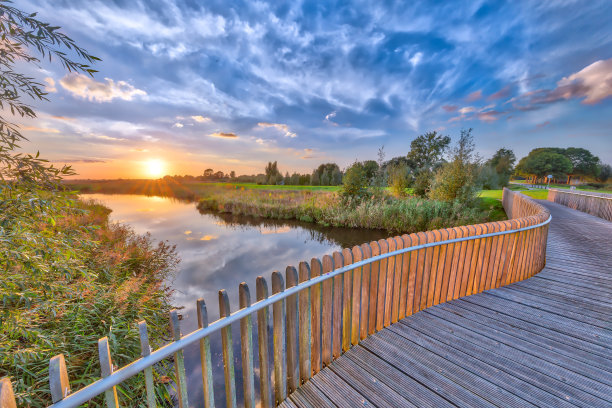 wetland