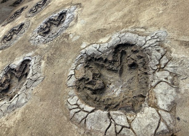 恐龙足迹化石