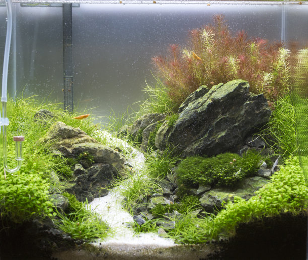 aquarium