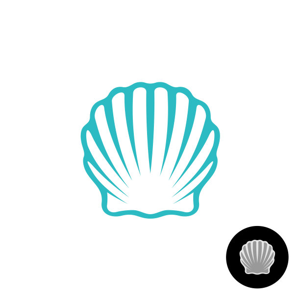 seashell