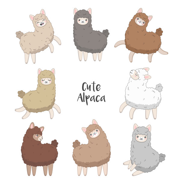 alpaca