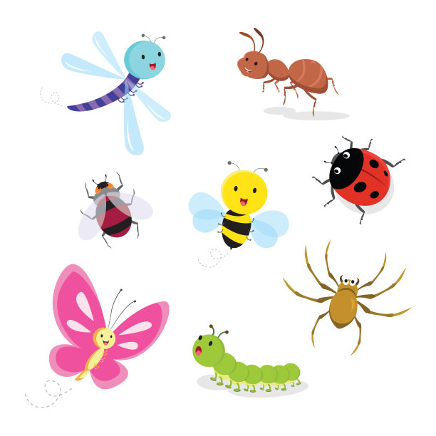 entomology