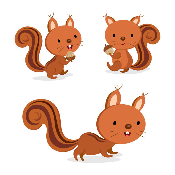 可爱小松鼠