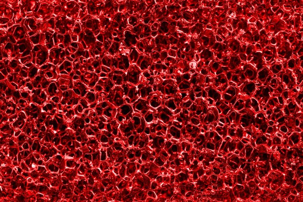 retina