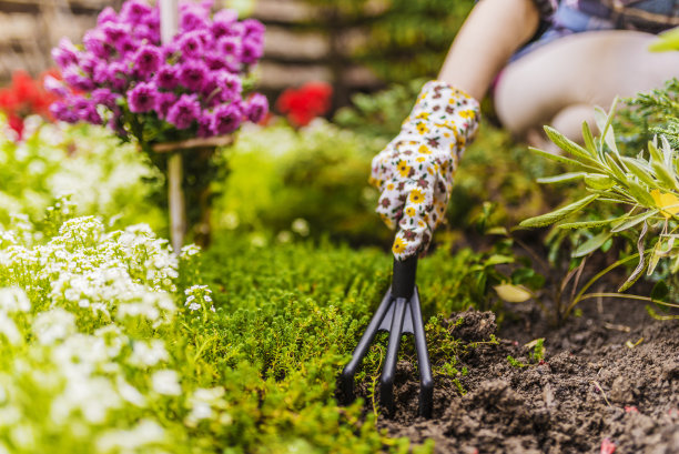 horticulture
