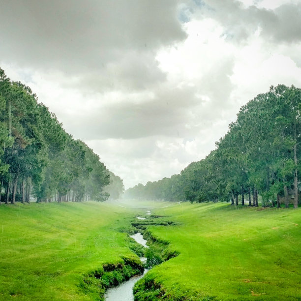 stream