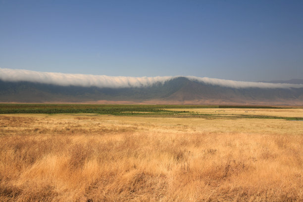 ngorongoro