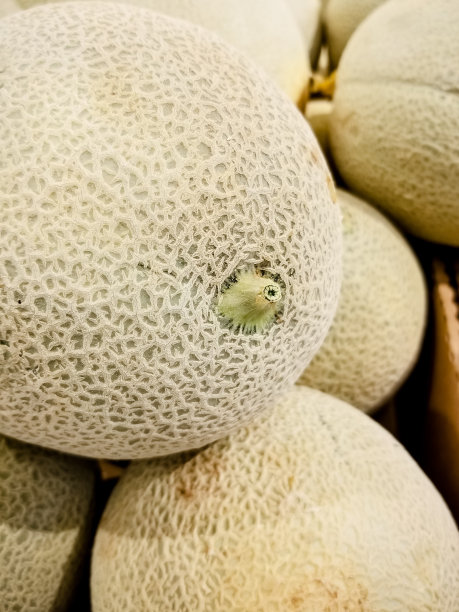 cantaloupe