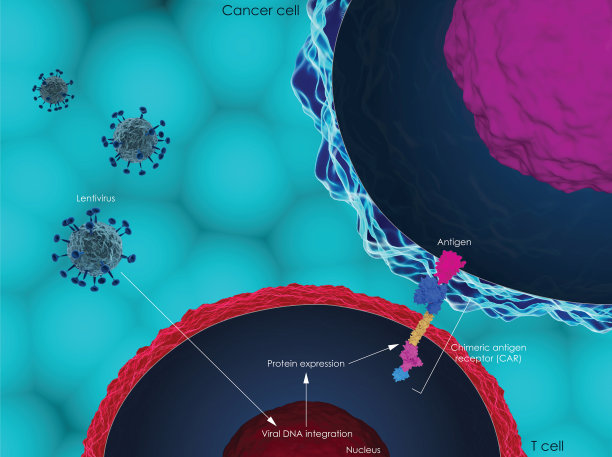cd4