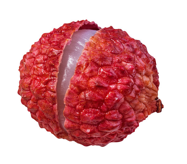 litchi