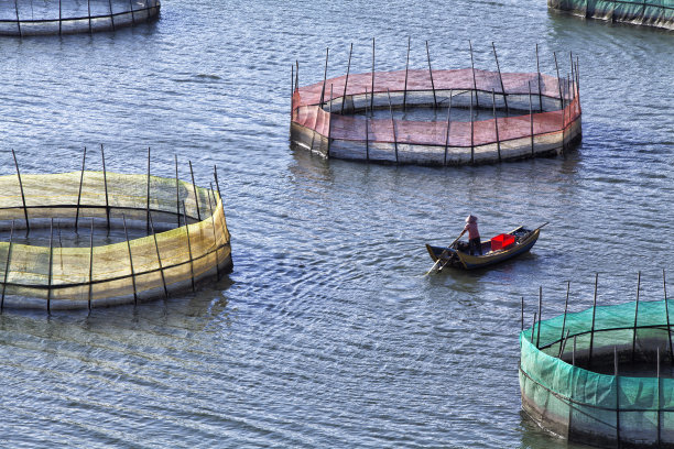 fujian