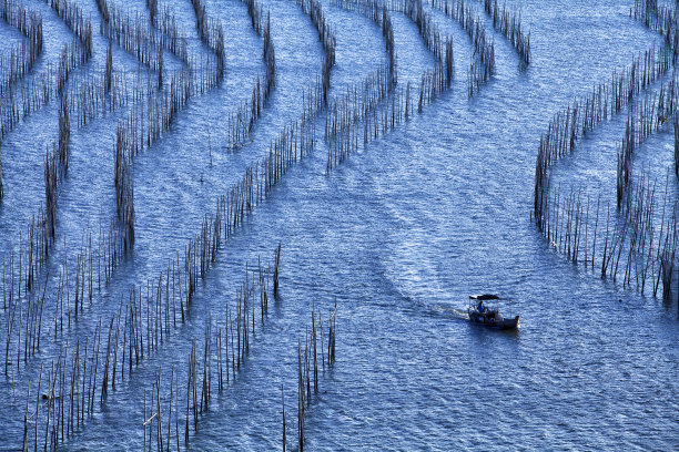 滩涂