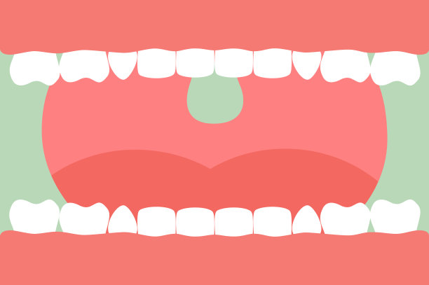 teeth