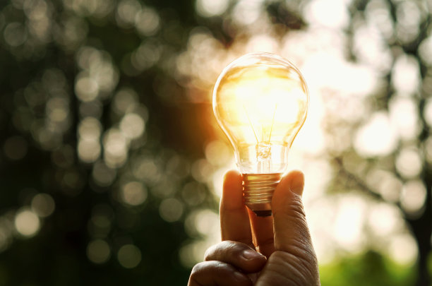 bulbs