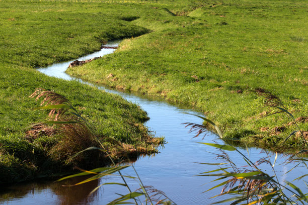 stream