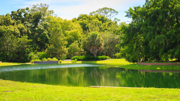 ponds