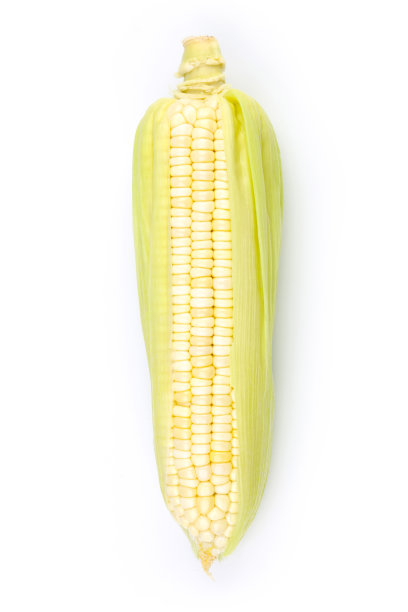 玉米尖