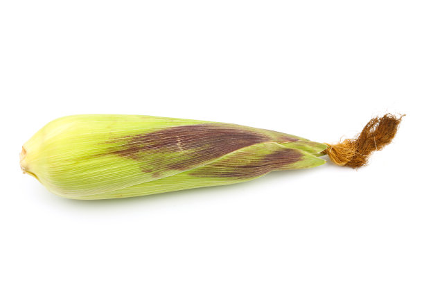 韭菜串