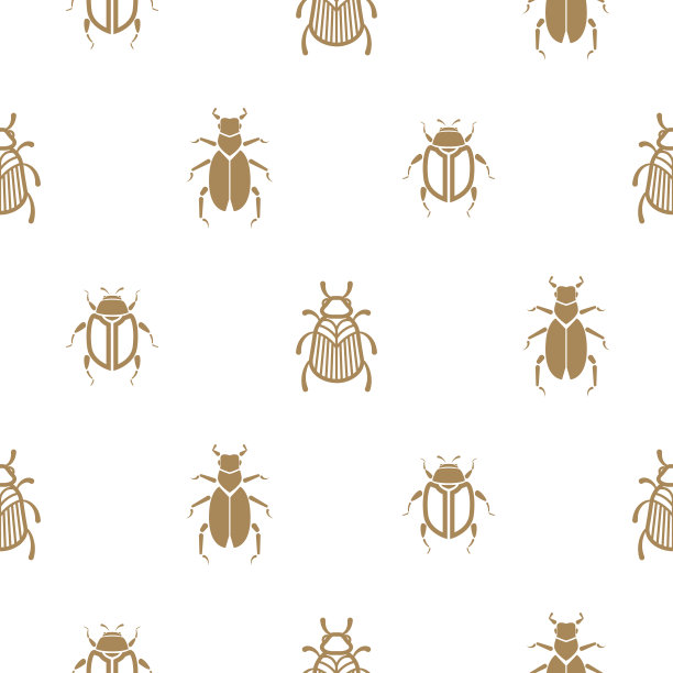 beetles