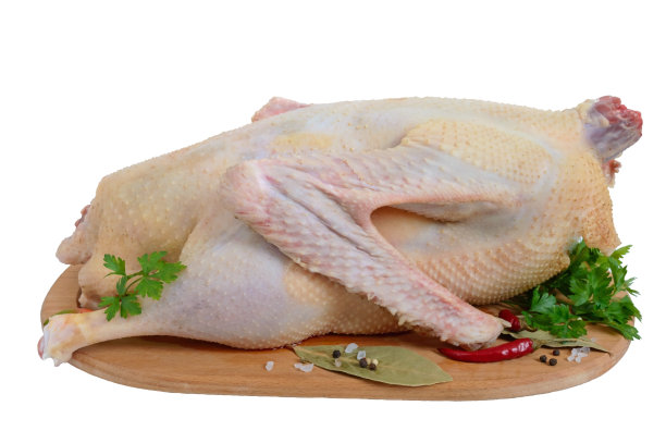 goose