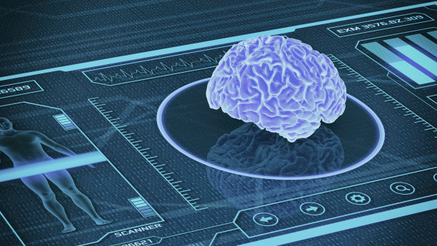 brain