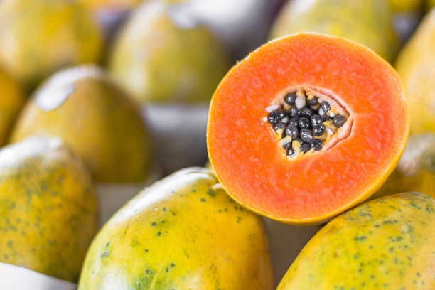 papaya