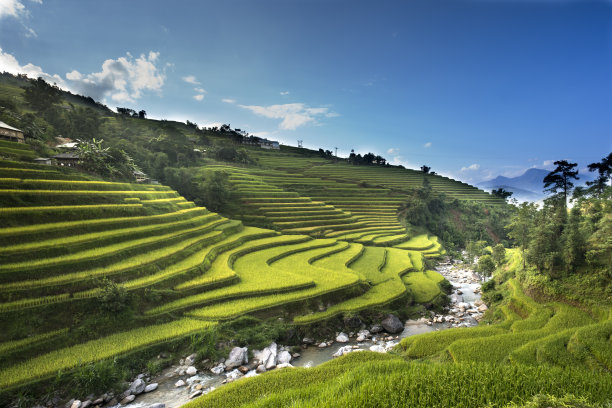 terrace