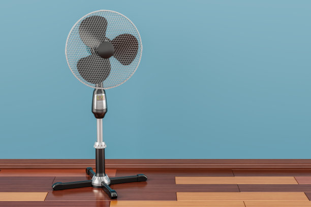 fan