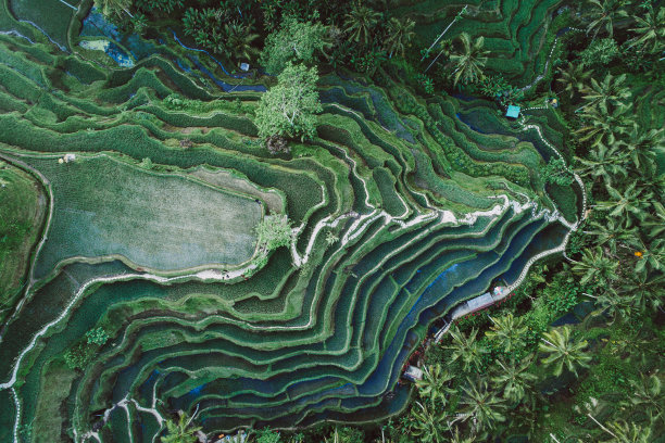 梯田航拍素材