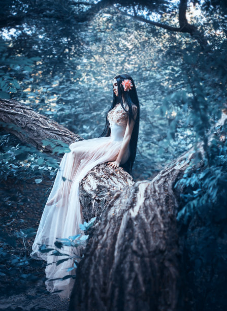 fairy