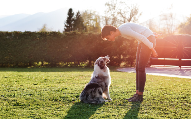 doggy