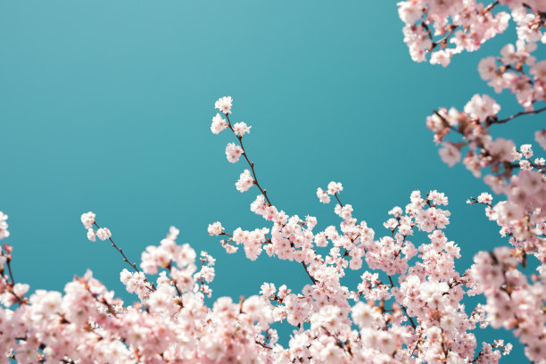 springtime