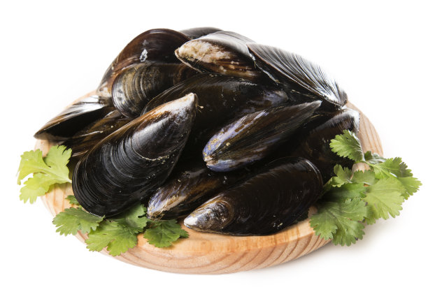 mussels