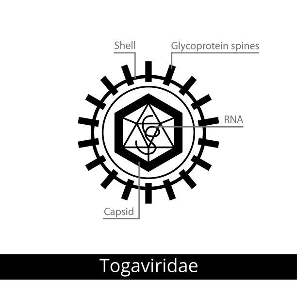 rna