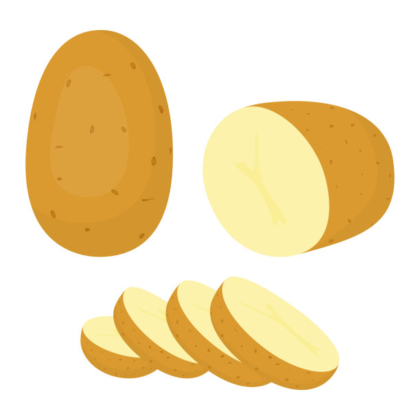 矢量土豆插画