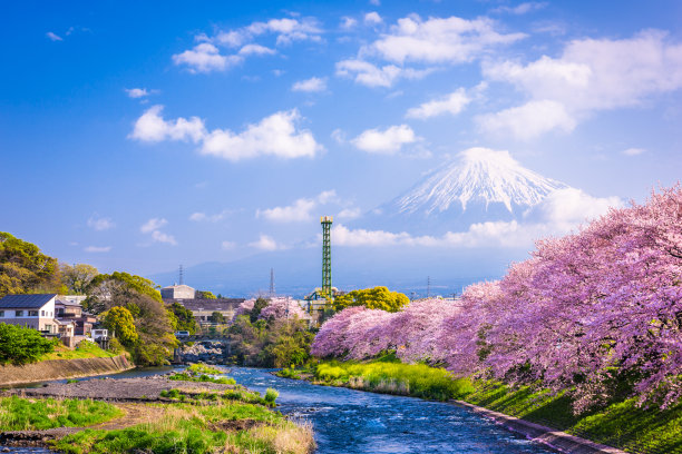 fuji