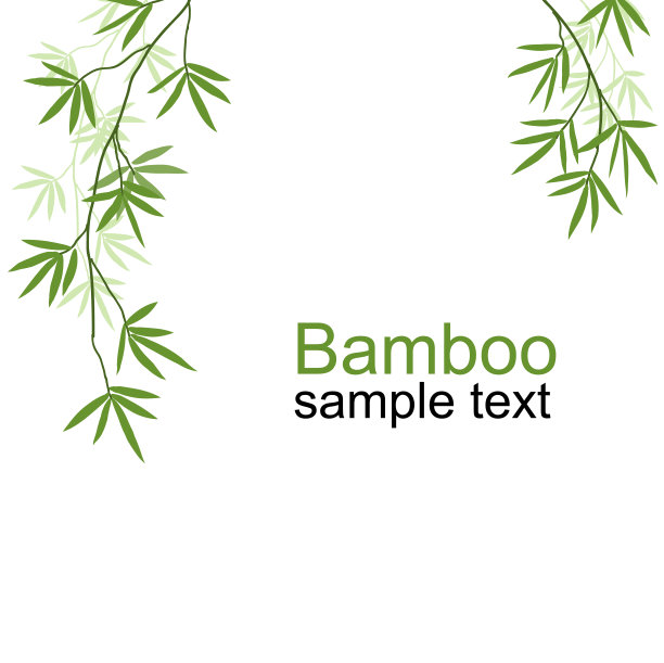 bamboo