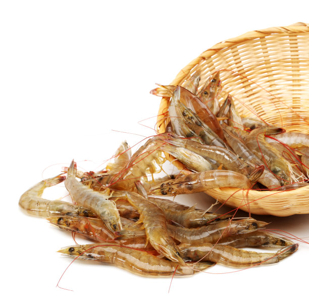 shrimps