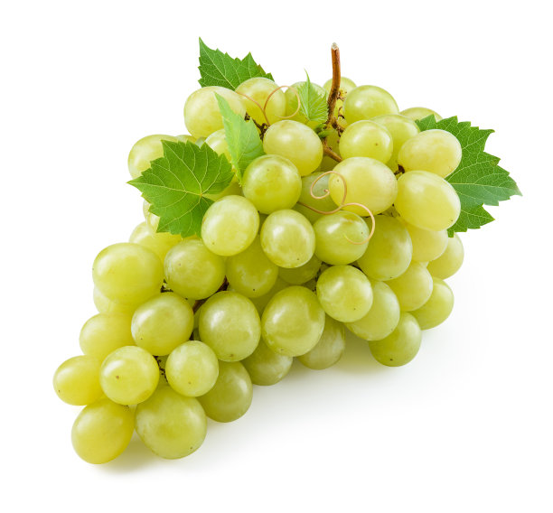 绿葡萄葡萄