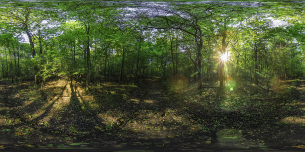 hdr